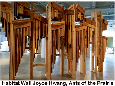 Habitat-Wall-Joyce-Hwang,-Ants-of-the-Prairie